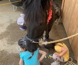 Das Putzen der Pferde gehört immer dazu - Philhippies Kindergeburtstag